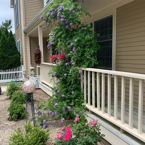 Meet your Posher, Maddy